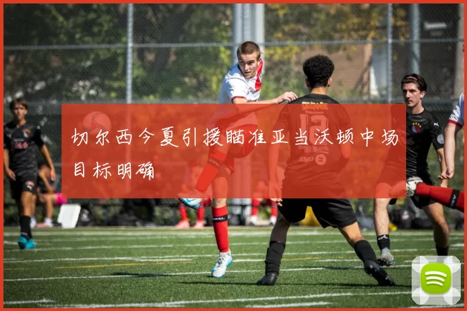 切尔西今夏引援瞄准亚当沃顿中场目标明确